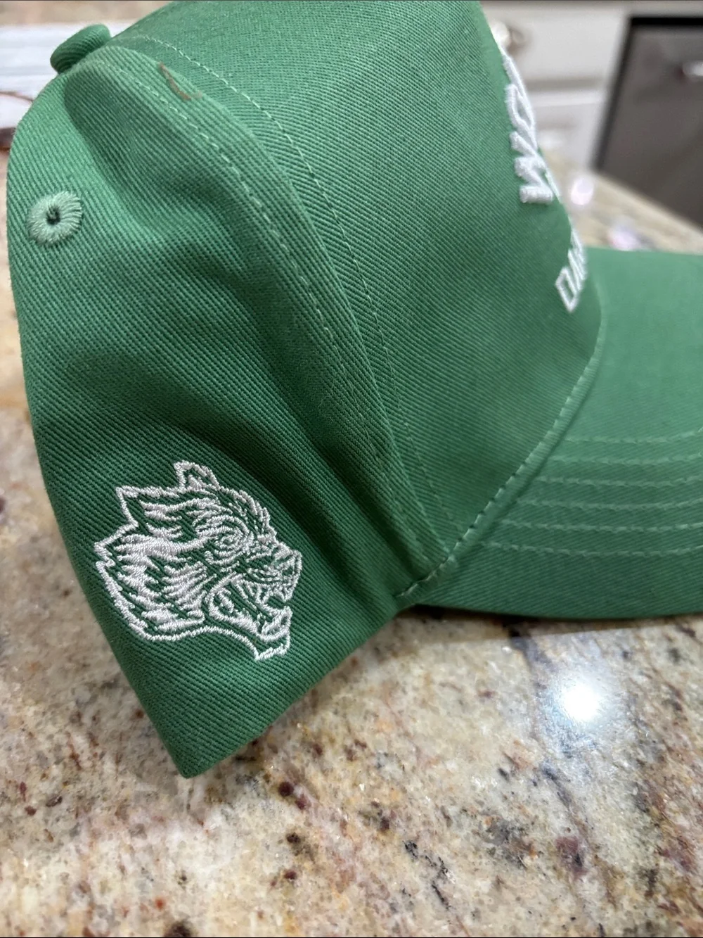Darc Sport Wolves 5 panel Green Hat NWT